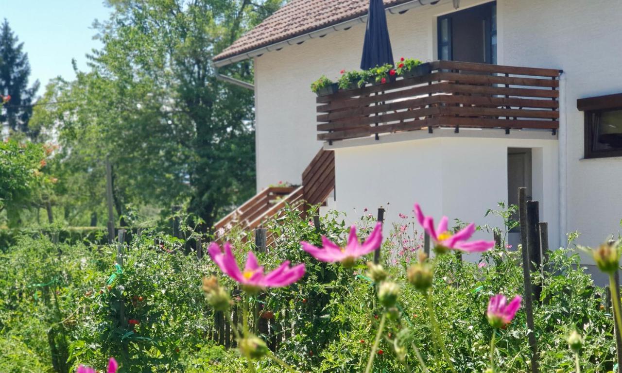 Apartment Murva Dreznik Grad Exterior photo