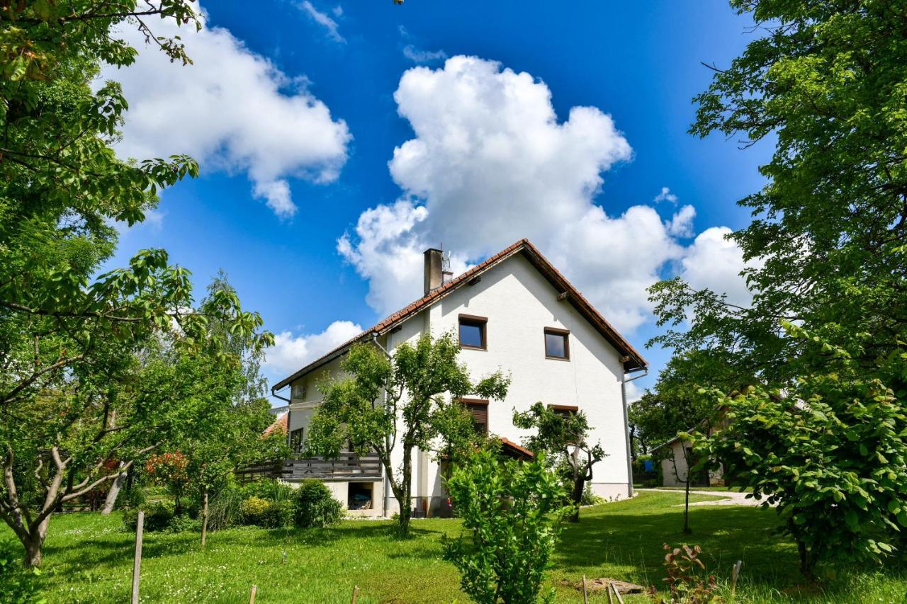 Apartment Murva Dreznik Grad Exterior photo